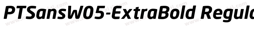 PTSansW05-ExtraBold Regular字体转换